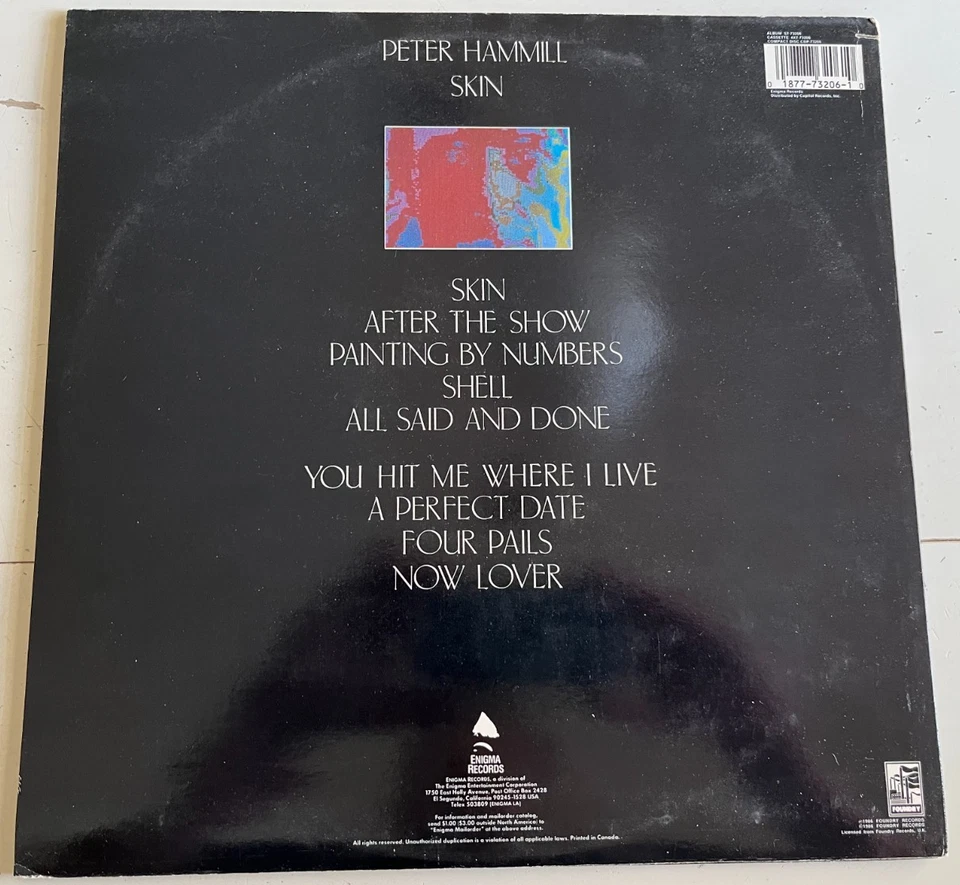 PETER HAMMILL SKIN LP EXCELLENT CONDITION VAN DER GRAAF GENERATOR - Image 2 of 4