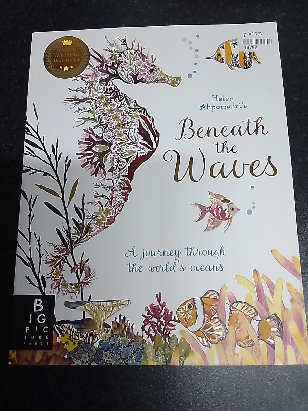 Beneath the Waves by Lily Murray [Paperback]