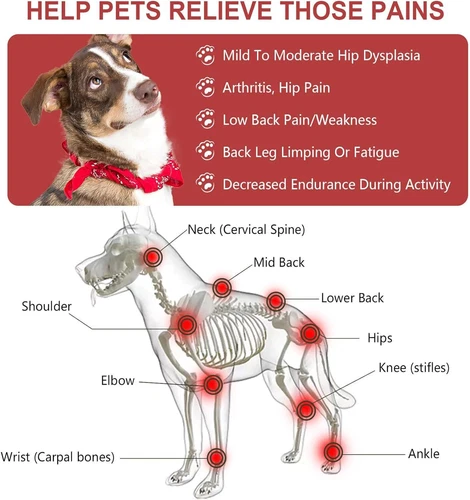 Dog Infrared Light Therapy Pad LED Red Light Device Pain Relief Cat Pets Care AU - Bild 9 von 19