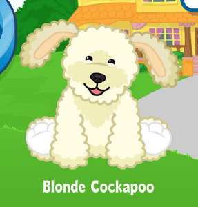 webkinz cockapoo