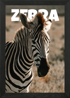 Zebra Portrait Nahaufnahme gerahmtes Wandbild Poster Leinwanddruck Bild