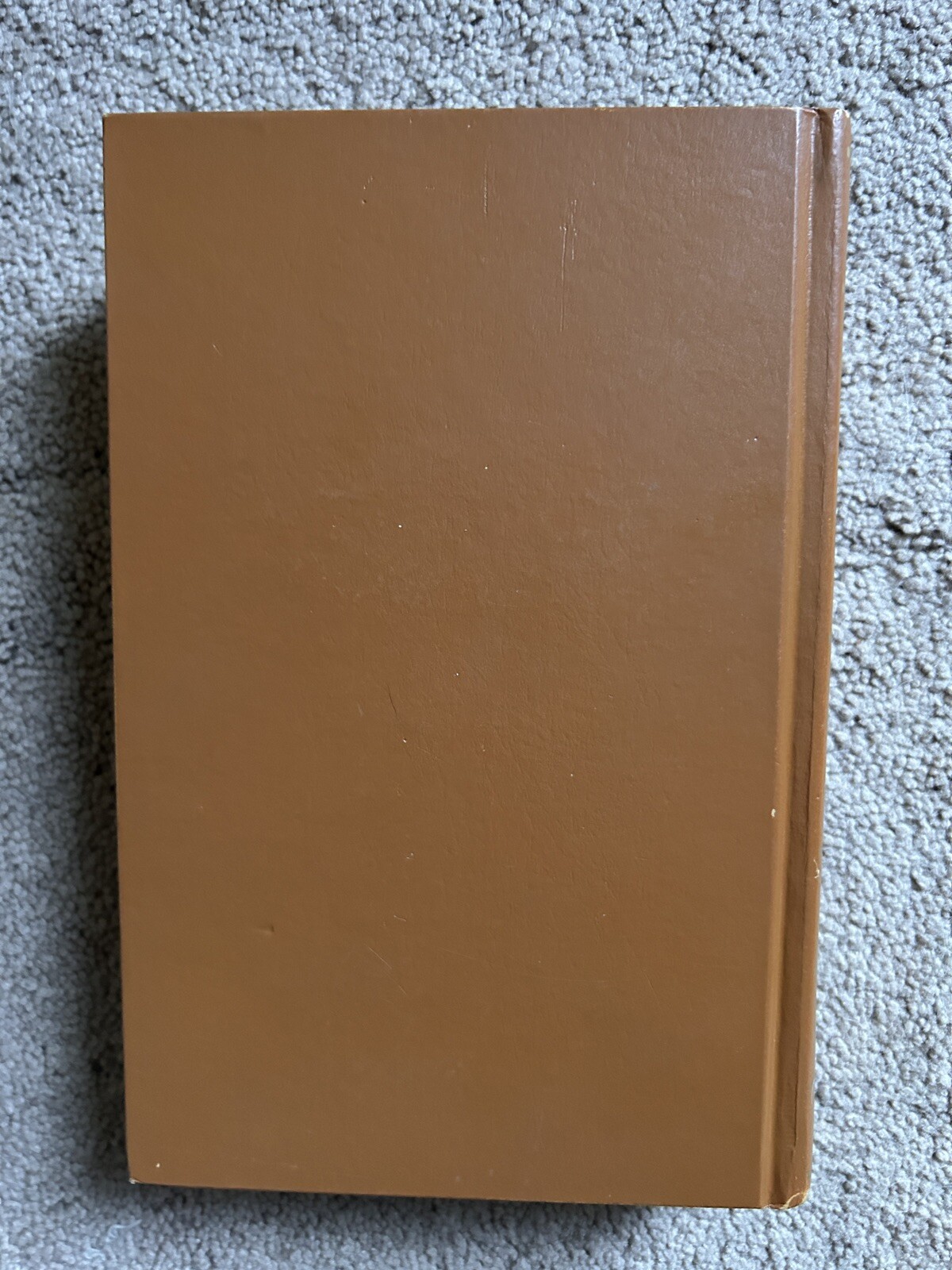 Picture 4 of 12