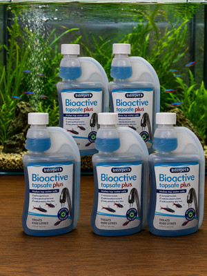 5 Stück Interpet Bioaktive Tapsafe Plus Wasseraufbereitung für Aquarien, 500 ml