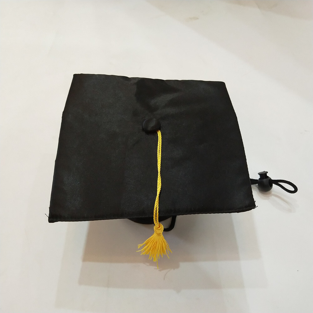 Picture 6 of 11