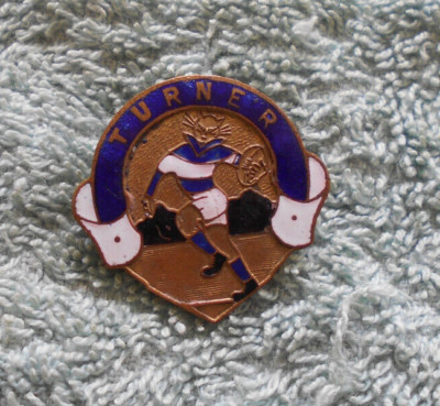 #D400.  GEELONG CATS AFL AUSTRALIAN RULES FOOTBALL  LAPEL BADGE - TURNER DYNASTY