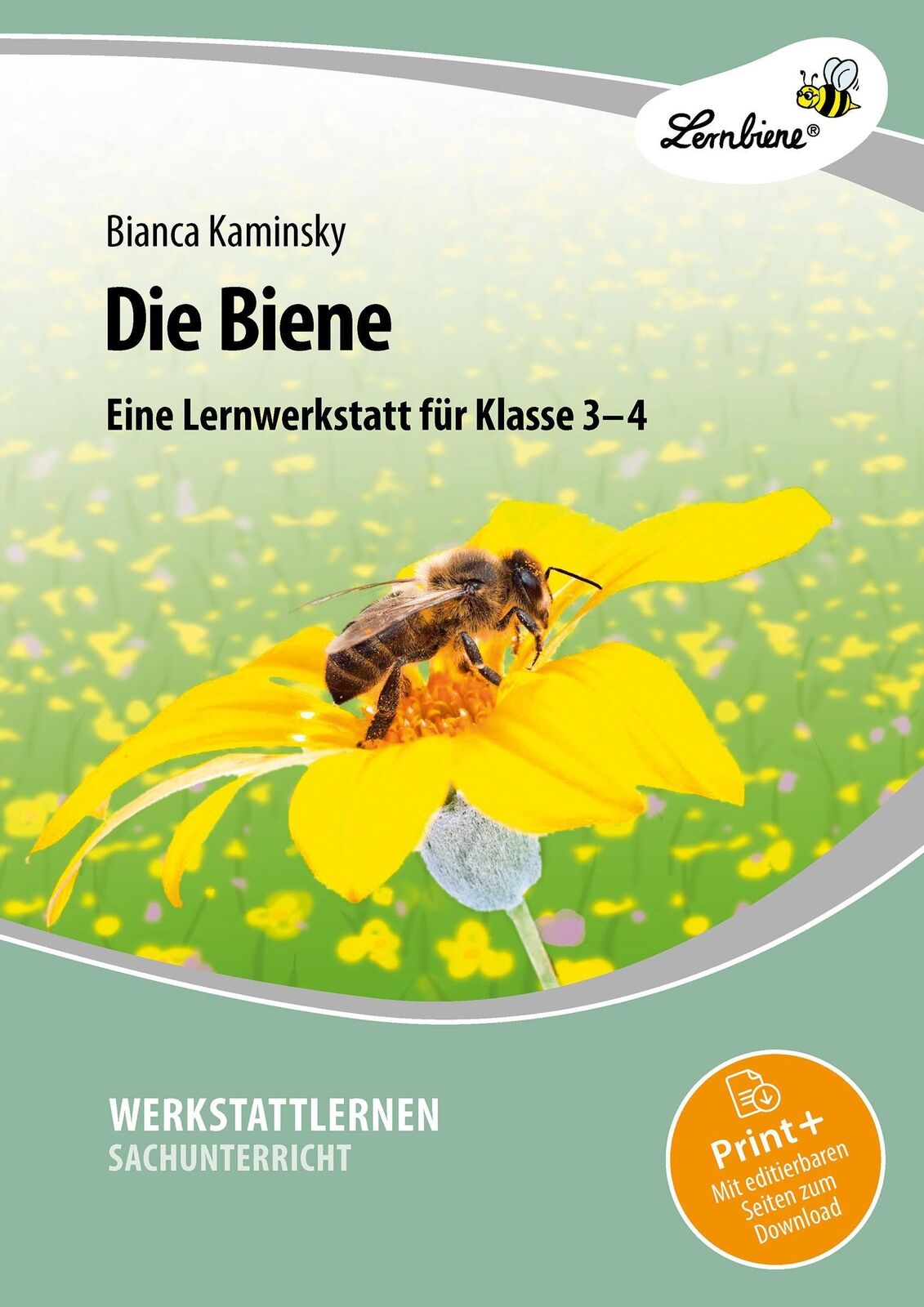 Thumbnail - Die Biene. Grundschule, Sachunterricht, Klasse 3-4 | (3. Und 4.