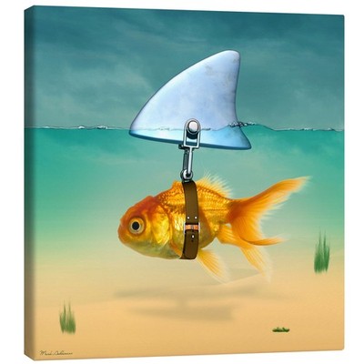 Leinwandbild Goldfisch - Mark Ashkenazi