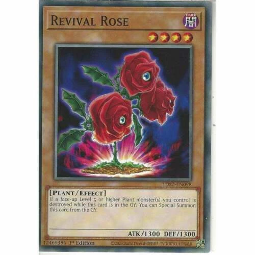 Effect Yu-Gi-Oh! TCG Near Mint or Better Individual Collectable Card Games