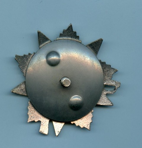 Russian Order of Patriotic War Badge/Medal Numbered. - Picture 2 of 4