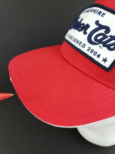 New Hampshire Fisher Cats Established 2004 Snapback Hat Minor League Baseball - Picture 7 of 10