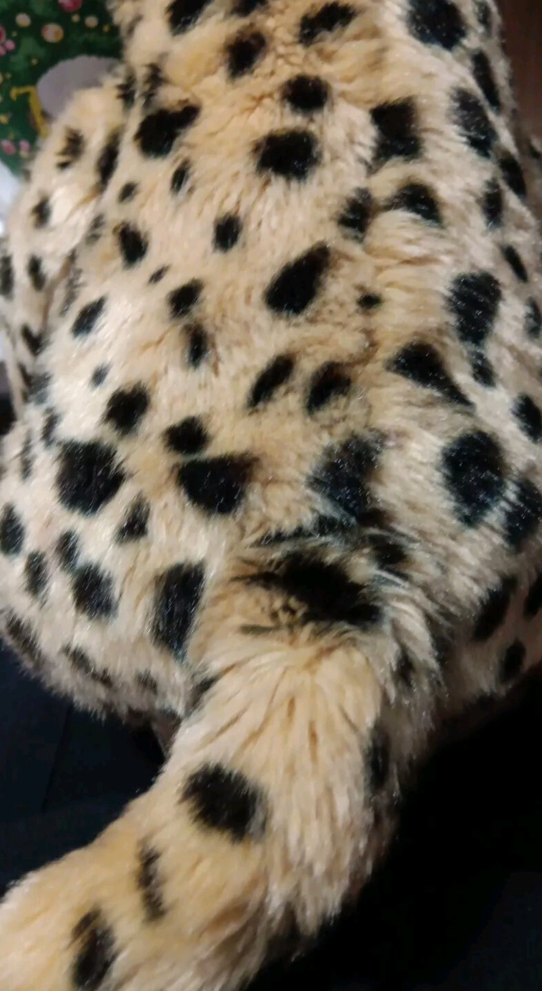 Picture 4 of 6
