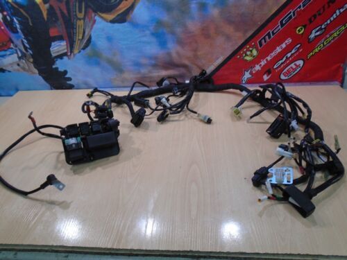 5 Sets 2 Way Delphi 6.3mm Series Connector Wire Ha... - Grandado - Foto 3