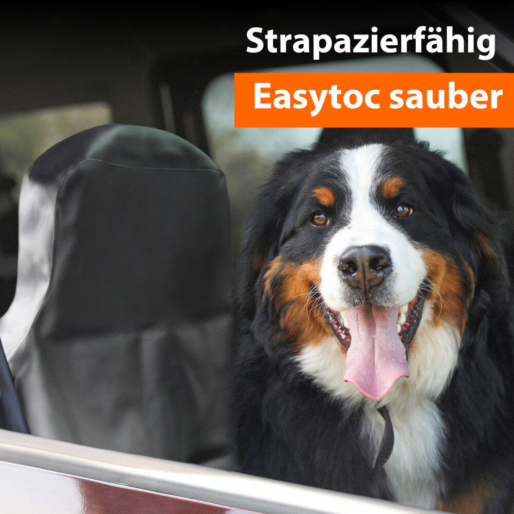 Bild 11 von 18