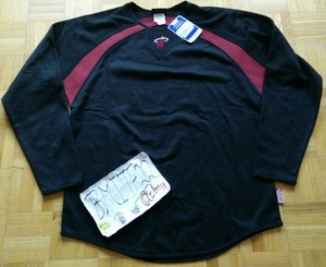 majestic fleece pullover