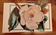 18 Unused Postcards Vintage Southern Magnolia...