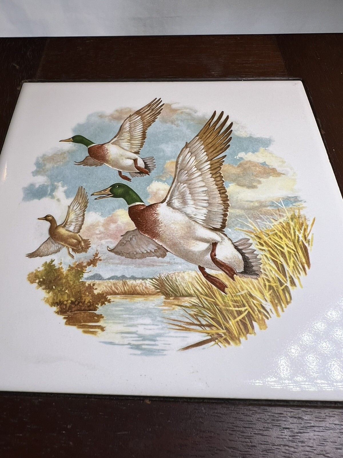 Picture 4 of 22