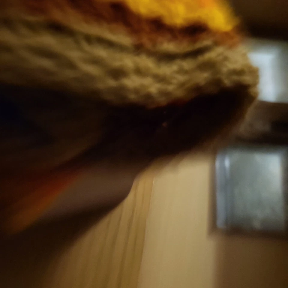 Frankie Lymon - Why Do Fools Fall in Love [Remember] (1993) Foto 2 de 3