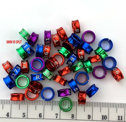 100 Stück Split Aluminium Vogel Beinbänder Split Aluminium Bänder - Bild 7 von 8