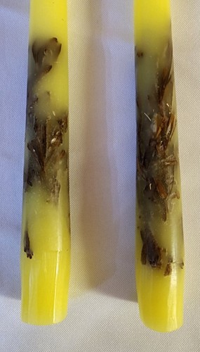 Vintage MCM Taper Candles Pale Yellow 11.5" Handmade Wyoming New West Set of 2 - Picture 5 of 7