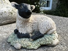 Vintage Border Fine Arts 'Herbert' Small Sheep Figurine JH14