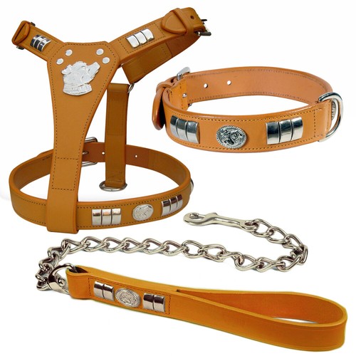 Staffy Staffordshire Bull Terrier del Perro plomo y cuello tan Cromo cara de perro | eBay