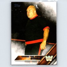 2016 Topps WWE George 