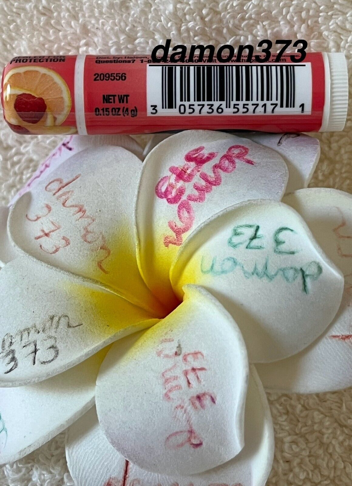 Bild 1.134 von 1.233
