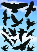 Vögel Vogel Schutz Aufkleber 14 Stück Set Fensterbild Wintergarten Fenster