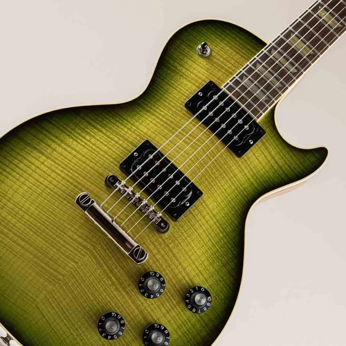 Gibson Custom Shop Demo Guitar Mod Collection 1959 Les Paul Standard Reissue Sli