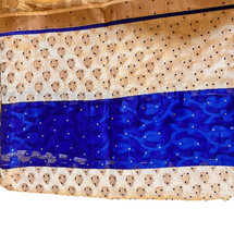 Party Wear Silk Net Saree with stones with Blouse