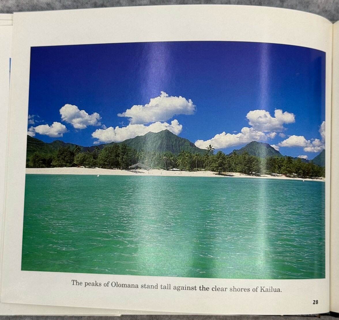 Picture 7 of 7