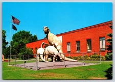 Dinosaur Group at Utah Field House of Natural History Vernal UT Vintage Postcard
