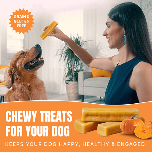 Pumpkin Yak Chews – Safe and Easily Digestible Himalayan Yak Milk Chew for Dogs - Picture 9 of 14