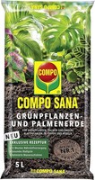 Compo Sana GrüNpflanzen Kultursubstrat Blumenerde Balkonpflanzen Palmen Farne 5L