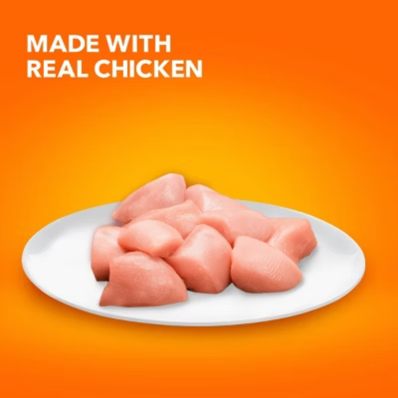 IAMS Proactive Health with Chicken Kitten Premium Dry Cat Food