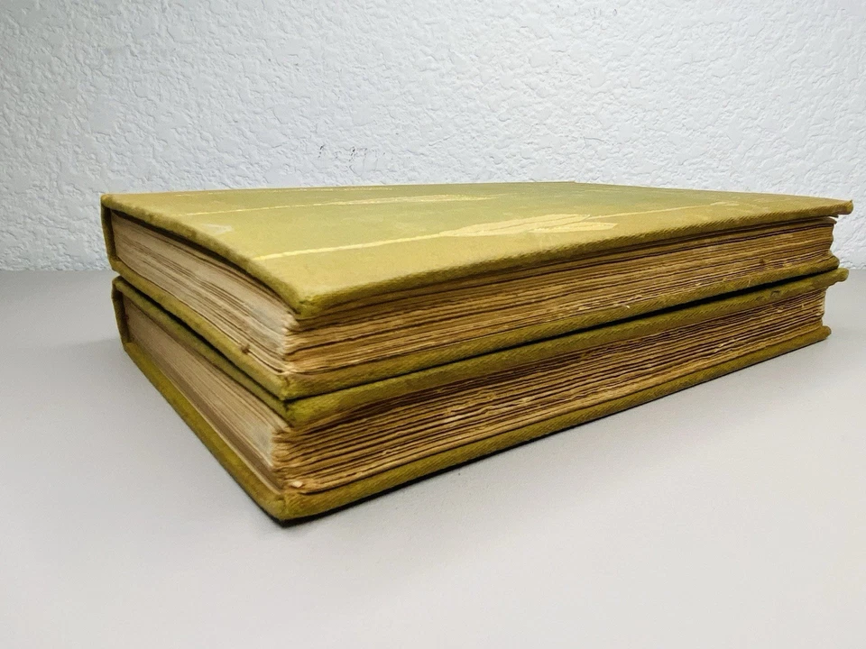 1896/99, 2 Vol, Cape Cod by Henry David Thoreau, HB ILLUS, Houghton - Image 4 of 4