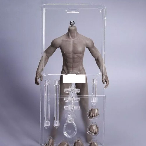 JIAOU DOLL 1/6 Seamless Male Body Doll Male Figure Fit 12" ForPhicen Hot Toys - Picture 19 of 25