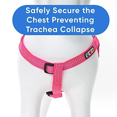 Dog Harness Small Sized Dog Pink Dog Small (Pack of 1) Pink ⚡Reflective Dog Harness Small Sized Dog Pink Dog Small (Pack of 1) Pink ⚡Reflective