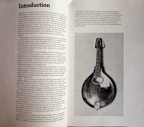 Mandolin Teach Yourself Bluegrass Song Sheet Lesson Music Book - Picture 3 of 7