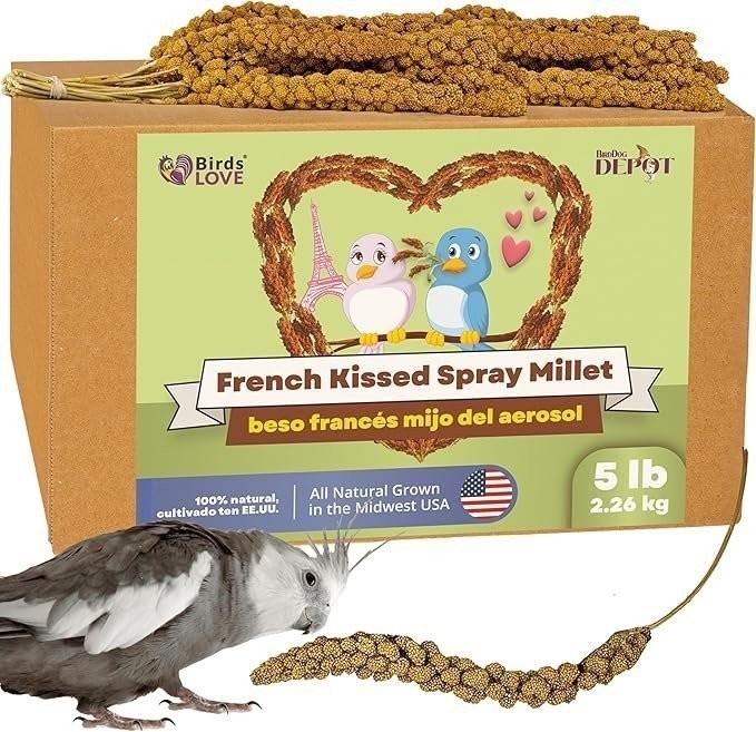 For Bird Parrot Non Gmo- 5lb