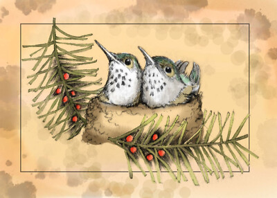 ACEO Limited Edition - Hummingbird print of Original Pen and Ink by Monica Minto