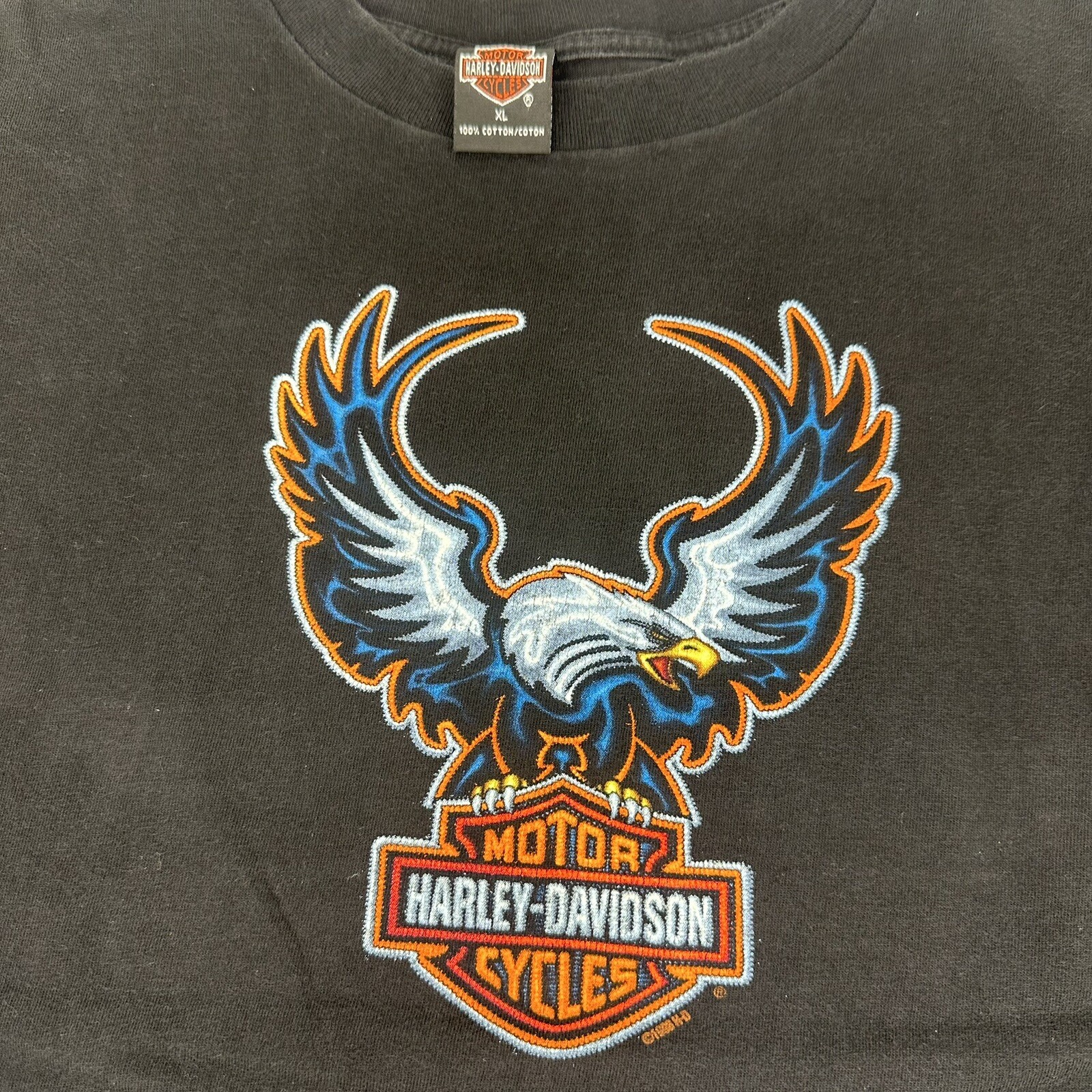 Harley-Davidson HOLOUBEK Eagle Pattern American Flag Motorcycle T-Shirt, Men's XXL (approx.) unclear gray type Vintage Second Hand