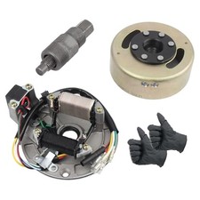2 Coil Ignition Magneto Stator Plate Assembly with Flywheel and Flywheel