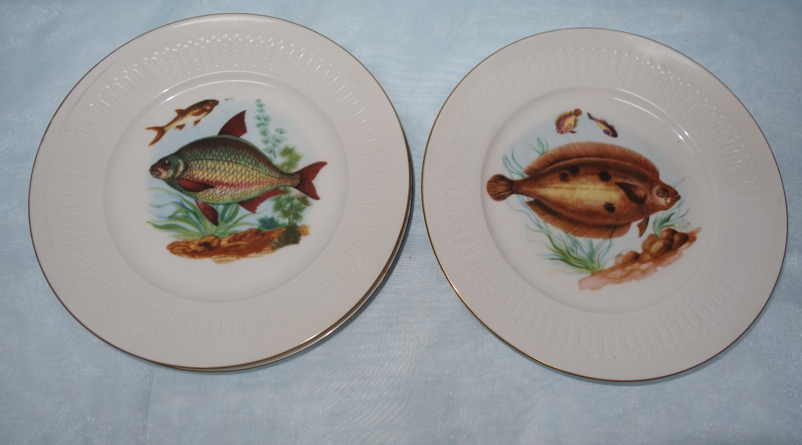 Limoges, Limoge, Decore Tipo, Fischservice, Speiseteller Fischmotiv eBay
