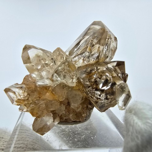 Phantom Rauchquarz DT Zepter Stufe Goboboseb, Namibia 23*21*25mm - Bild 5 von 6
