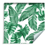 10M Vlies Tapete GrüNe Exotische Bananen BläTter Natur Xxl 518