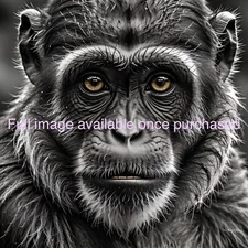 Soulful Chimp | High Resolution Digital Wall Art Print | Download