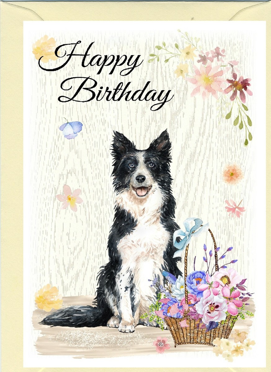 Border Collie Geburtstagskarte – 12,7x17,8 Cm, Blanko Innen, Für Hundeliebhaber, Geschenk Oder Beileid