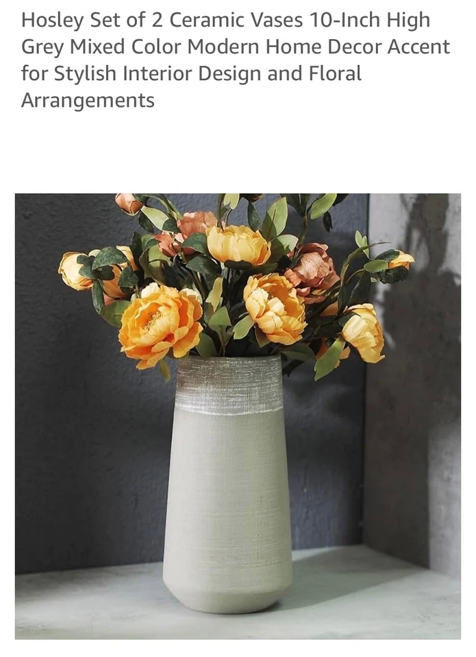 Hosley Juego de 2 Jarrones de Cerámica 10 Pulgadas Alto Gris Mezcla Color Moderno Decoración del Hogar923 Foto 2 de 4
