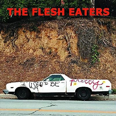 I Used to Be Pretty by The Flesh Eaters (Record, 2019)
